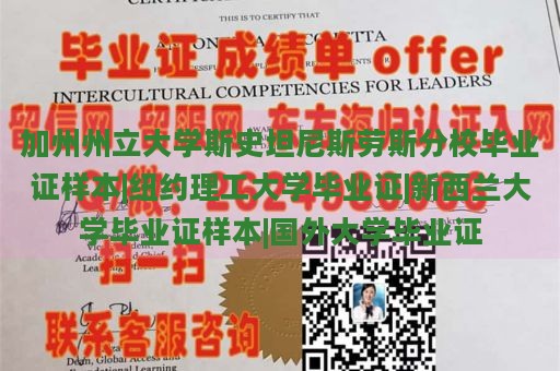 加州州立大学斯史坦尼斯劳斯分校毕业证样本|纽约理工大学毕业证|新西兰大学毕业证样本|国外大学毕业证