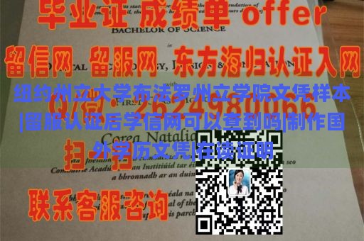 纽约州立大学布法罗州立学院文凭样本|留服认证后学信网可以查到吗|制作国外学历文凭|在读证明